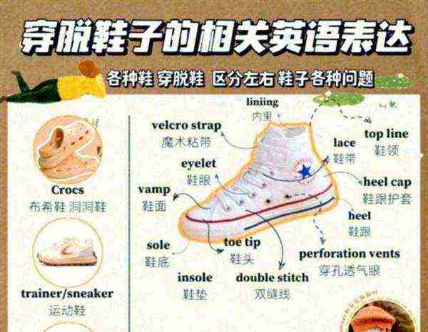 脚 用英语怎么说