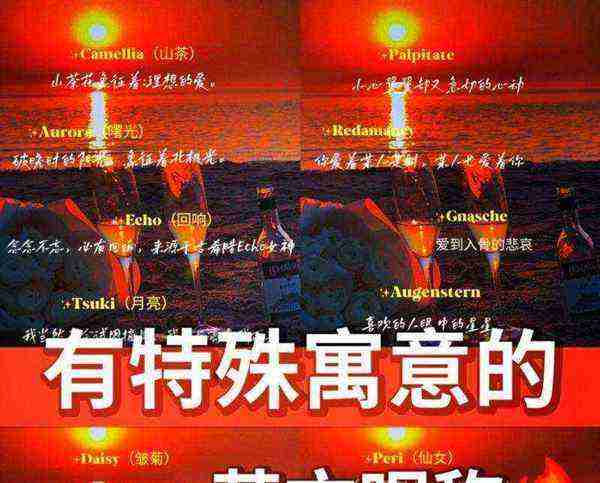 耀的英文怎么写怎样读
