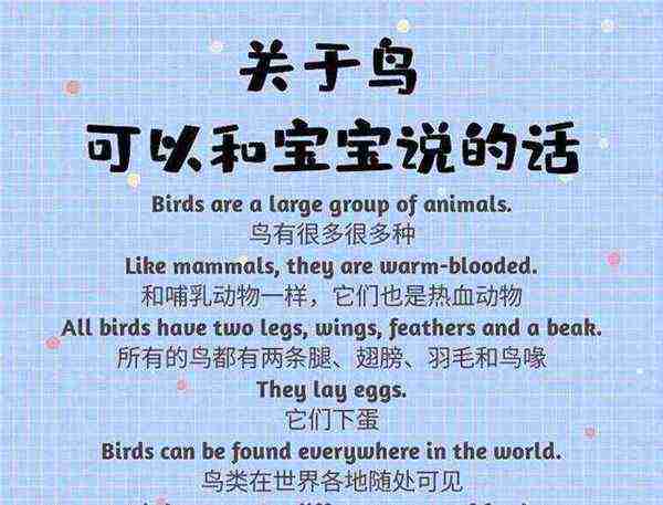 鸟用英文怎么说怎么写的