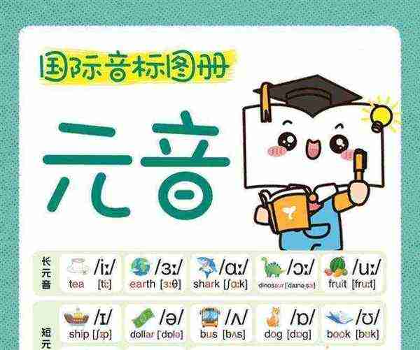 poppies音标
