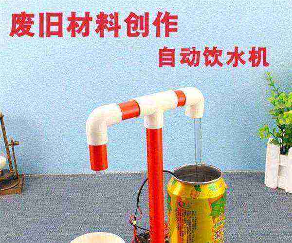 科学小发明作文