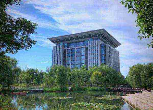 河南财经政法大学图书馆开放时间
