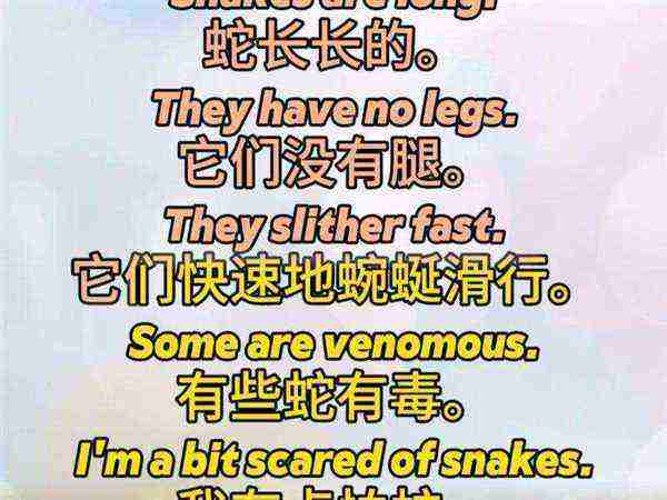 tail是什么意思英语的简单介绍