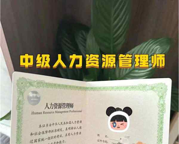 中级经济师哪个专业最容易考中级经济师的