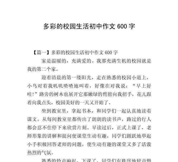 如何度过初中生活作文600字