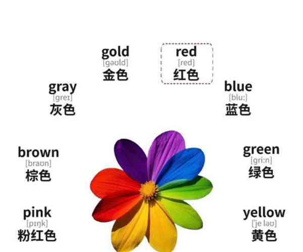 颜色的英语单词10个字母有哪些