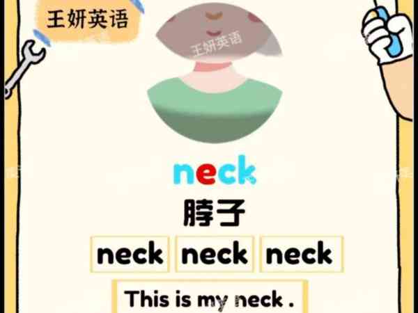 肩的英文怎么读怎么写的