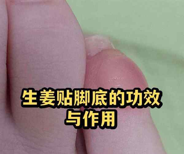 姜和辣椒的英语怎么说?的简单介绍