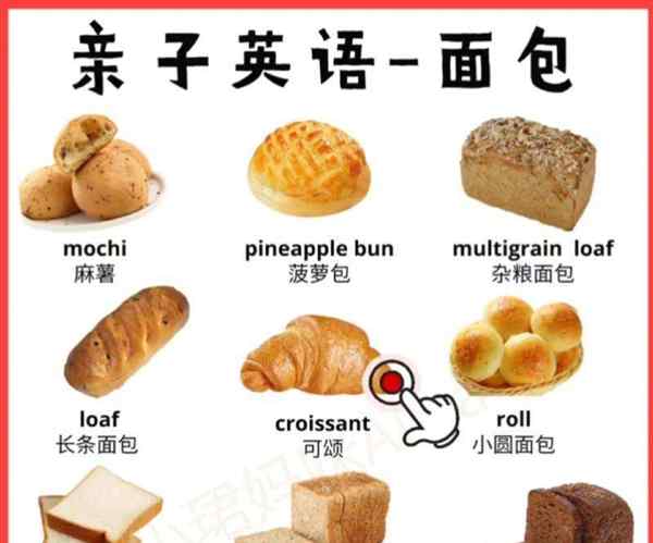 面包的英文单词怎么读怎么写