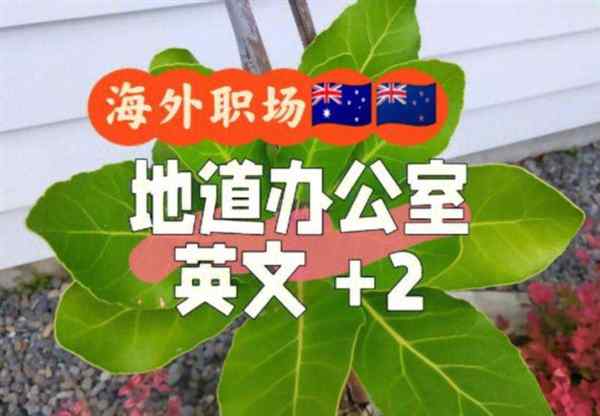 就是办公室用英语怎么写的