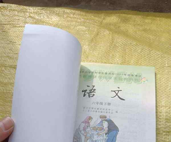 六年级下册语文课本第十三课笔记