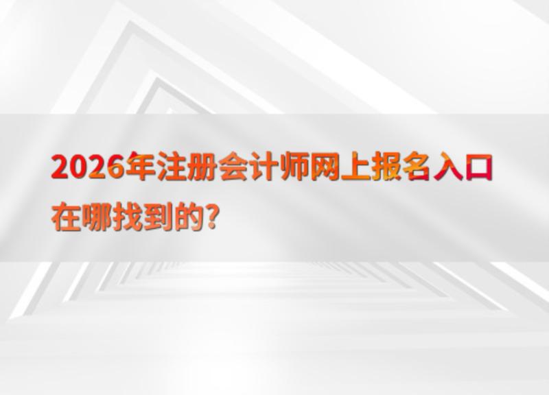 2019注册会计师协会报名官网