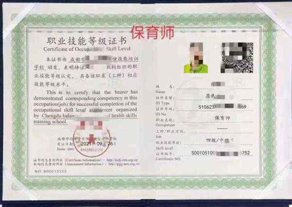 保育师成绩查询入口官网网址