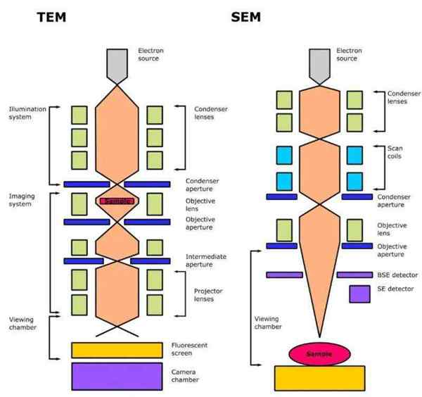 management管理学定义