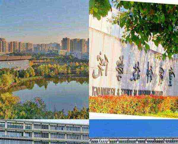 重庆科技学院教务在线信息门户