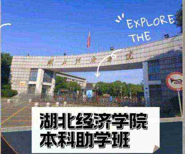 湖北经济学院是不是211985