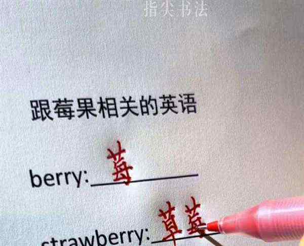 小学外研版英语单词表