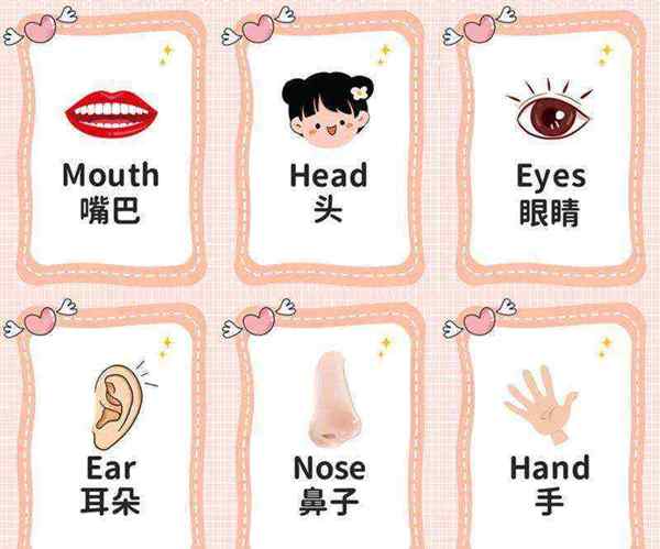 颈胸腰骶椎在形态上各有什么特点