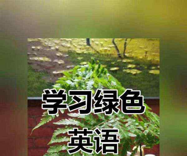茂密的英语单词是什么