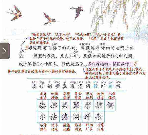 小学语文课文燕子主要内容概括