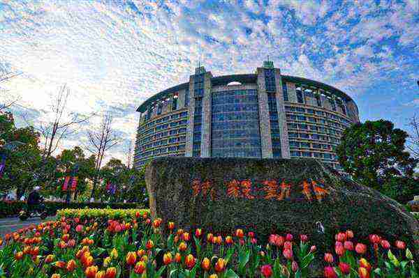 浙江工商大学杭州商学院什么档次