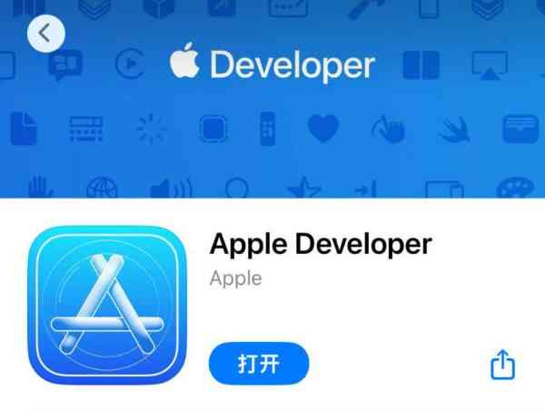 ios开发者选项怎么打开