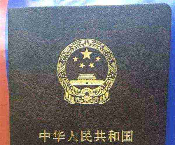 律师资格证考试科目考几门啊