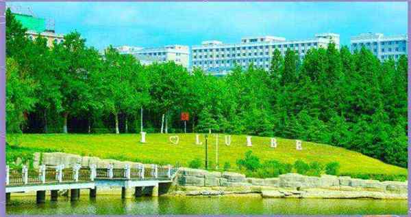 辽宁对外经贸学院官网录取查询
