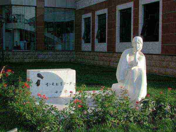 文学院在哪里
