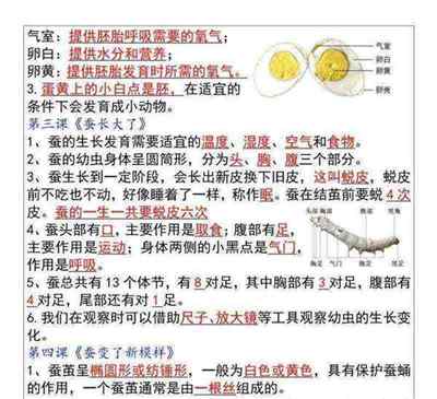科学大全一本通六年级上册图片