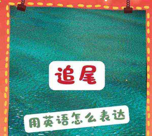 在后面英语怎么说