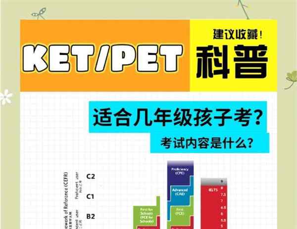 pets三级可以代替学位英语吗