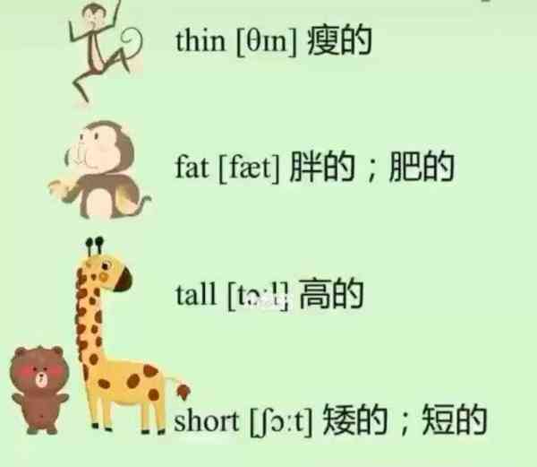 shed怎么读音发音英语怎么说的简单介绍