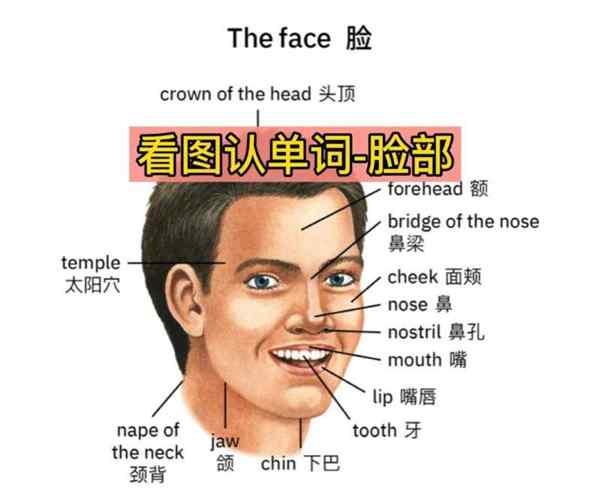 我爱吃鼻屎的英文怎么说怎么写的