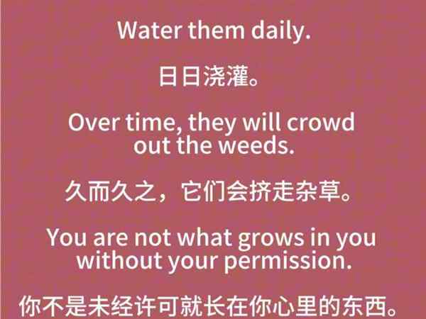 积极的用英语怎么表示