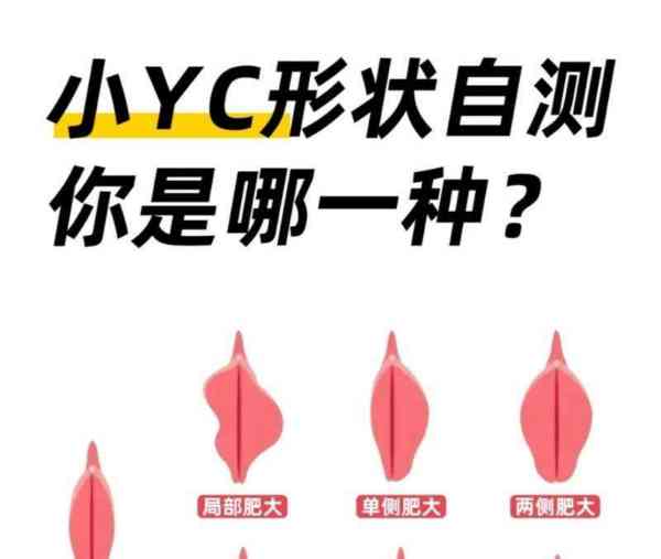 阴道的英文怎么读?