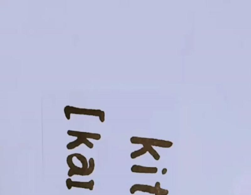 放风筝的英语单词是什么?