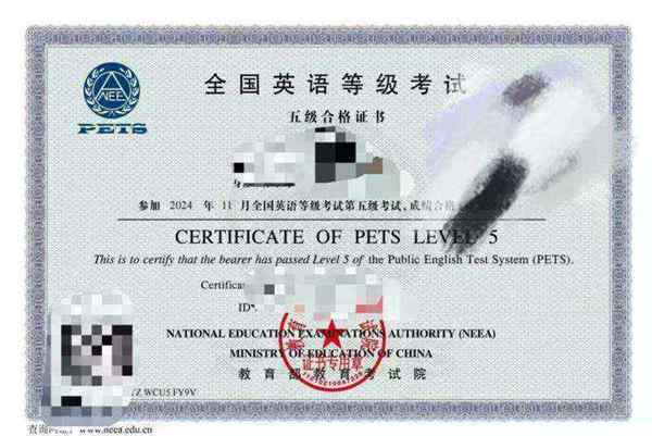 pets5成绩多久出来