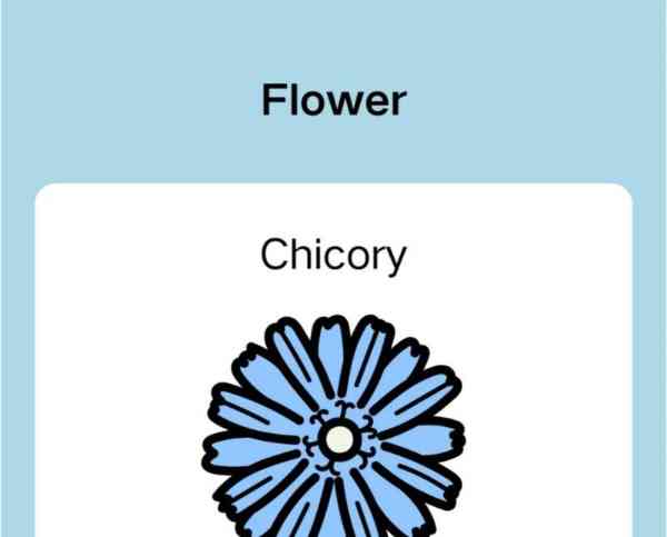 花的英语是什么读音