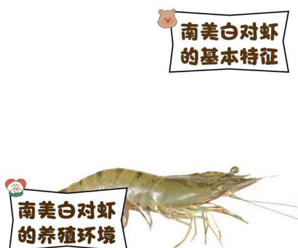 螃蟹的英语
