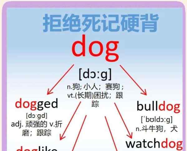 pets怎么读音发音英语怎么说