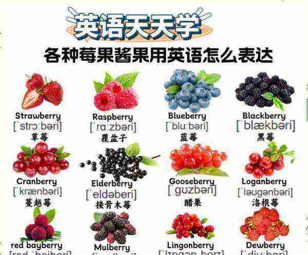 关于水果的英语单词100个不常见的单词有哪些
