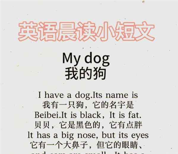 狗的英文怎么写的呀